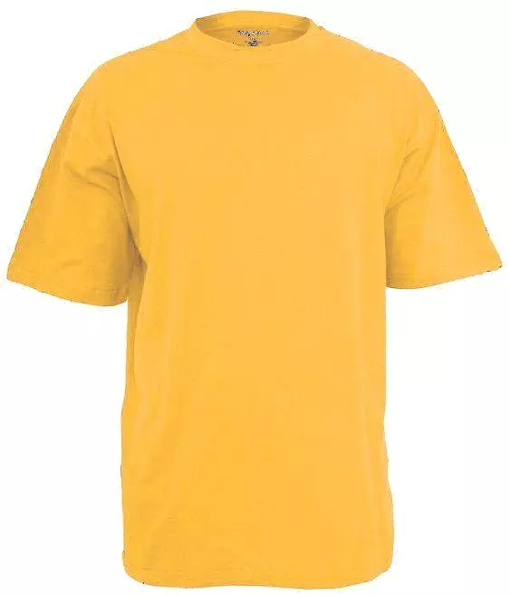 Big Men's Greystone T-Shirt